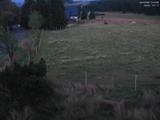 21 : 20