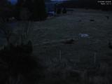 04 : 20