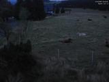 04 : 24