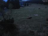 04 : 28