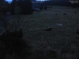 04 : 32