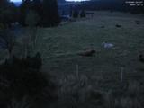 04 : 36