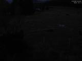 04 : 44