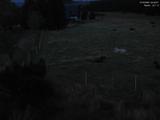 04 : 48