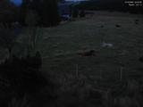 04 : 52
