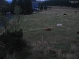 05 : 00