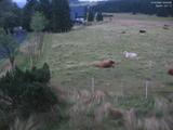 05 : 20