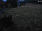 21 : 20