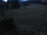 04 : 32