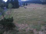 05 : 16