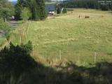17 : 08