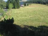 17 : 36