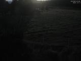 22 : 12