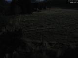 03 : 04