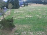 14 : 28
