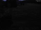 20 : 00