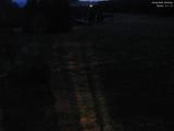 20 : 24