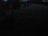 20 : 32