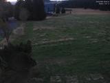 06 : 04