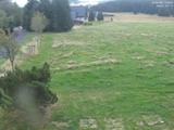 10 : 36