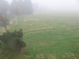 16 : 12