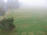 16 : 44