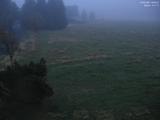 19 : 28
