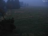 19 : 32