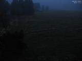 19 : 36