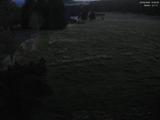 19 : 52