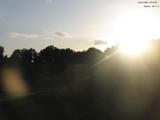 20 : 12