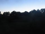 21 : 44