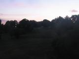 21 : 44