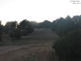 20 : 20