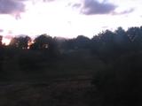 20 : 16