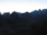 20 : 16