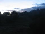 20 : 16