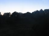 20 : 16