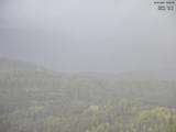 19 : 29