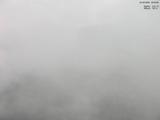 16 : 25