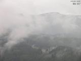 16 : 29