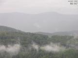17 : 29