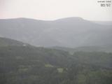17 : 29