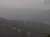 16 : 49