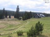 16 : 12