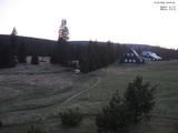 20 : 40