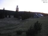 20 : 40