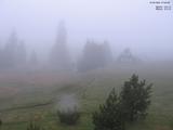 07 : 44