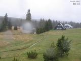 16 : 36