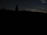 21 : 20